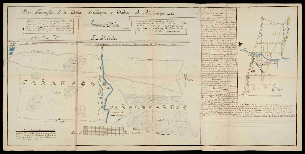 Plano topográfico de las dehesas de Cañaejoso y Peñalovarejo: término de Don Benito