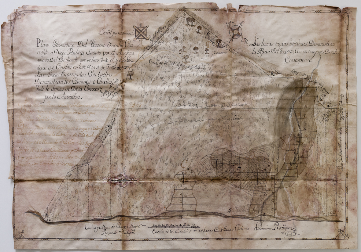 Plano geométrico del terreno inculto concedido a Diego Pacheco en el término de Badajoz